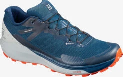 Salomon Sense Ride 3 GTX Invis. Fit Trail Running Shoes - Men's|-|Souliers De Course Sur Sentier Sense Ride 3 GTX Invisb. Fit - Homme