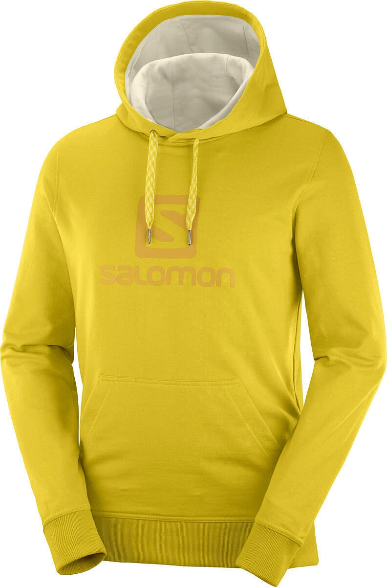 Salomon Logo Hoodie - Men's|-|Chandail à Capuchon Logo - Homme - Image 2