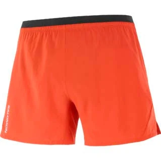 Salomon Cross 5 In Shorts - Men's|-|Short 5 Pouces Cross - Homme