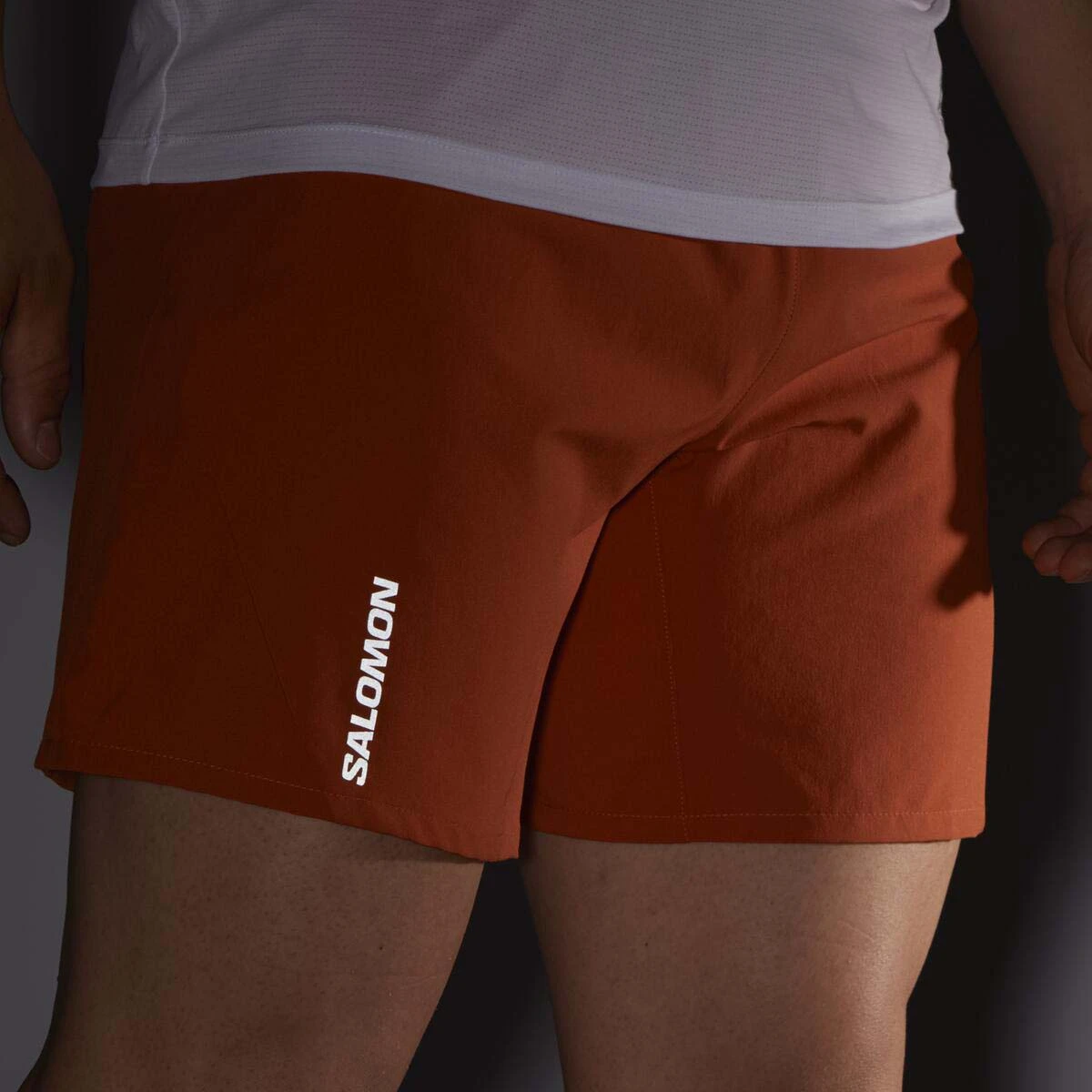Salomon Cross 7 In Shorts - Men's|-|Short 7 Pouces Cross - Homme - Image 2