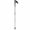 Salomon MTN Carbon S3 LTD Ski Poles 2024
